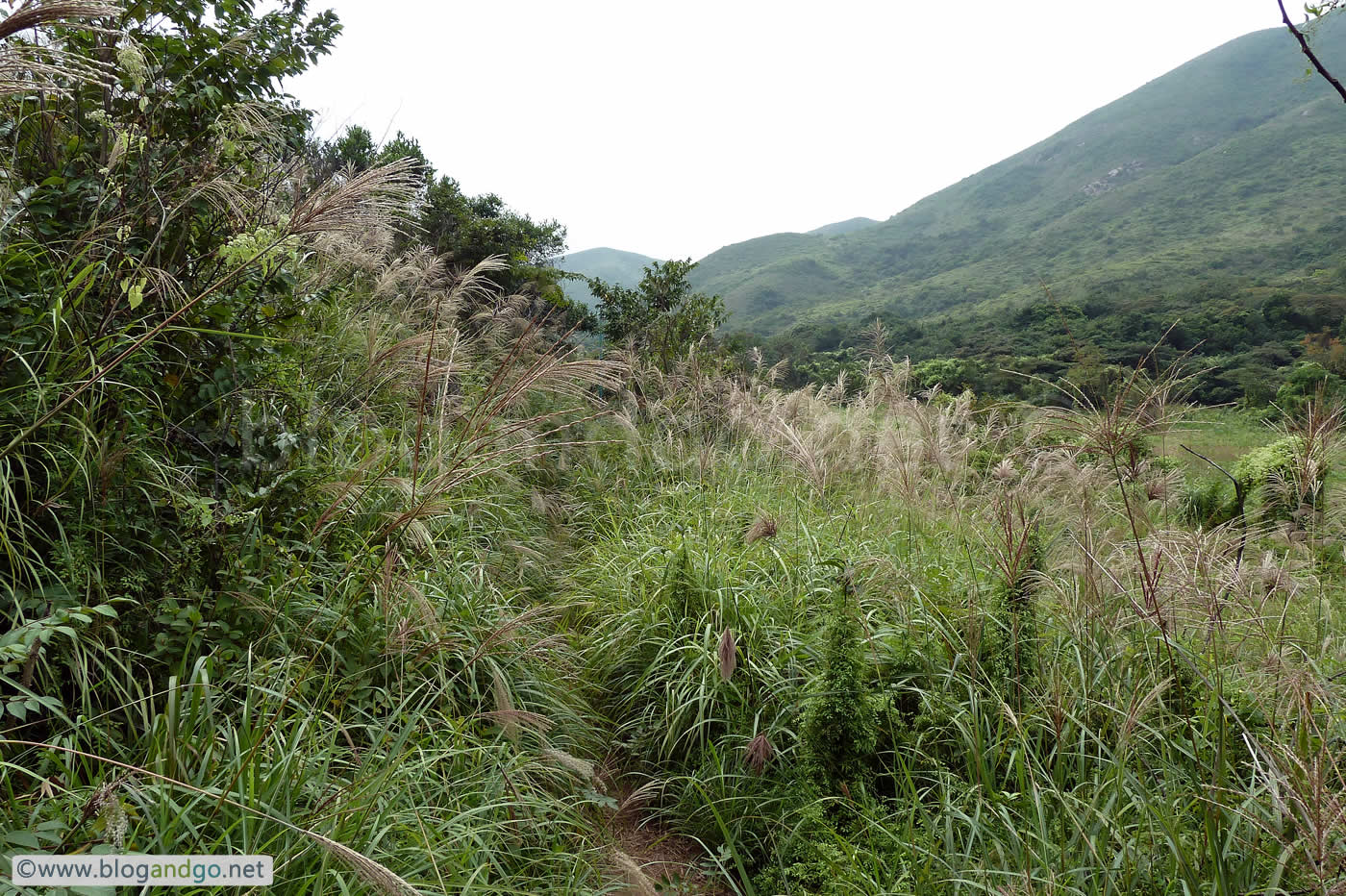 Lantau Trail 7 - Turn inland from Yi O bay
